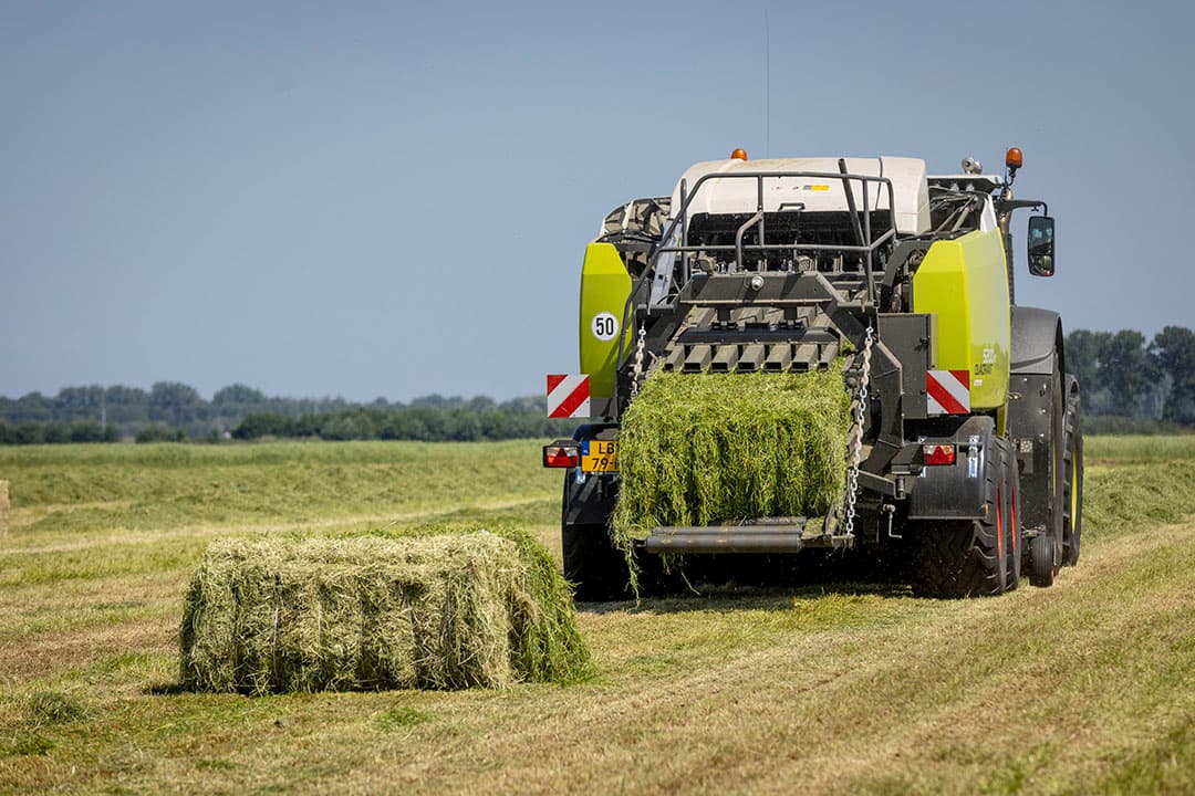 Foto: Koos Groenewold