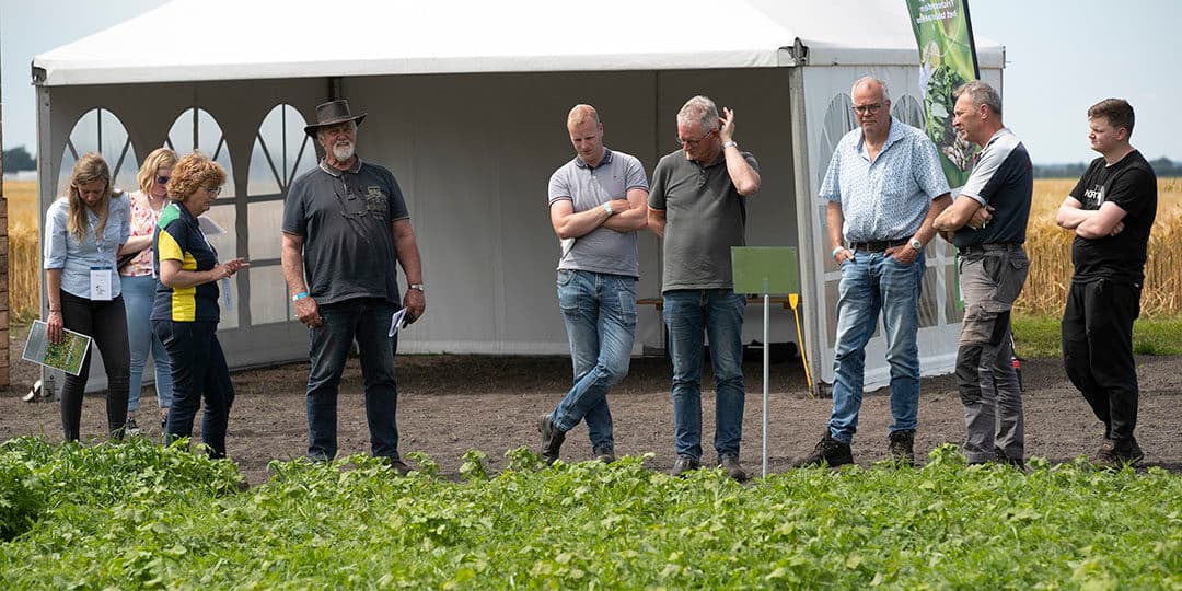 Bezoekers van de Groenbemesterdag op het WUR proefbedrijf in Valthermond (Dr.) krijgen uitleg bij een demoveld met mengsels van groenbemesters. - Foto: Hans Banus
