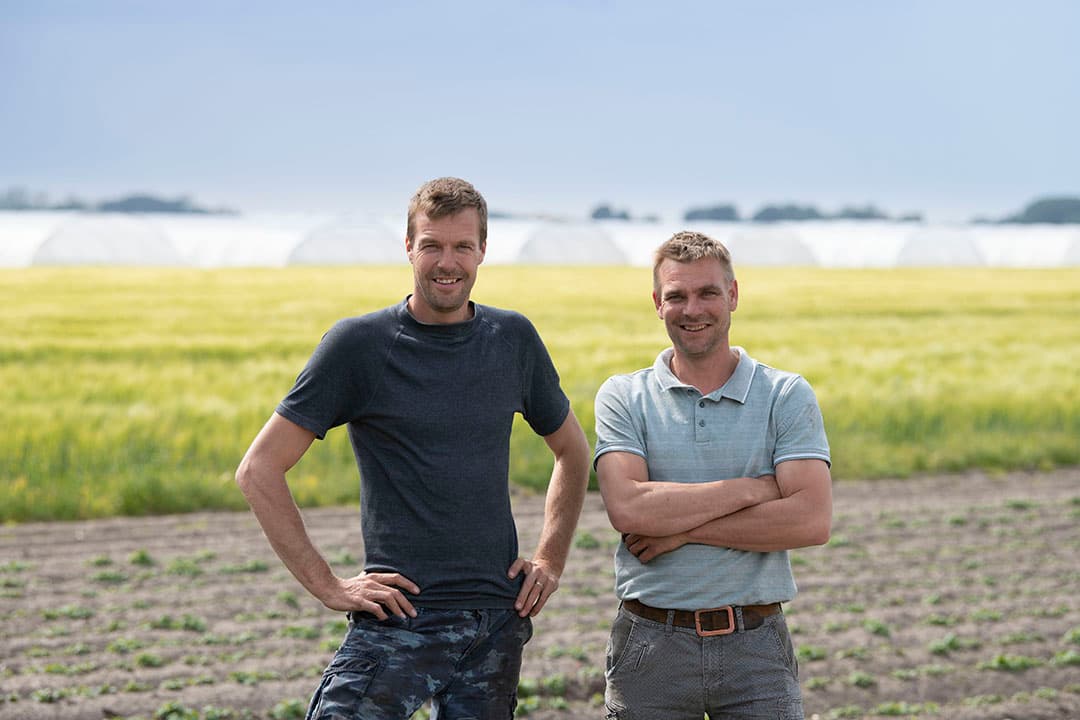De maten Jan (40) en rechts zijn broer Anne de Vries (42) hebben een akkerbouwbedrijf met afzet van gemalen meel en vers gesneden boerenfriet in de regio. Zus Ytje (35) heeft samen met haar man Jelmer de Kroon in 2017 een biologische Markttuin opgezet. Foto's: Mark Pasveer