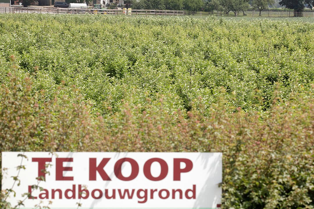 Foto: Hans Prinsen