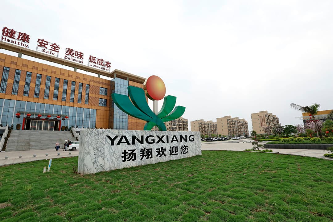 Het Chinese bedrijf Guangxi Yangxiang staat op plaats 18 met 300.000 zeugen. - Foto: Henk Riswick