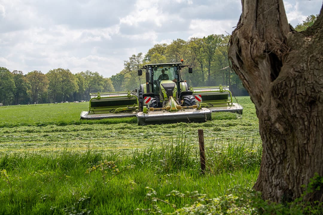 In de eerste twee weken van mei is er veel gemaaid. Het gras bevatte veel suiker en wat minder eiwit dan normaal. De opbrengst was redelijk, maar niet overweldigend. - Foto: Michel Velderman