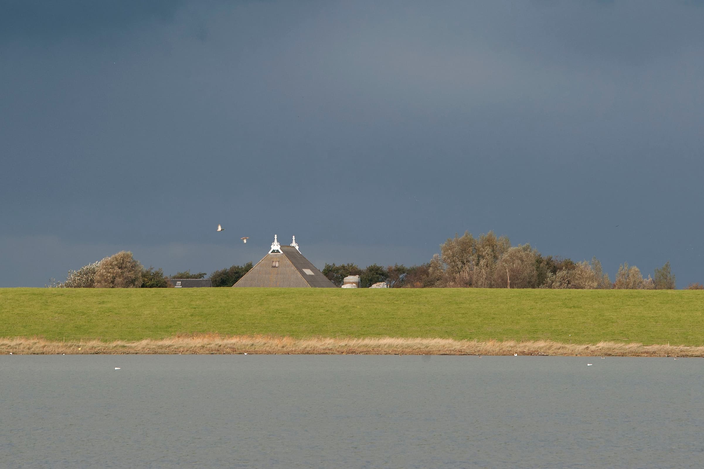Schiermonnikoog. - Foto: Mark Pasveer