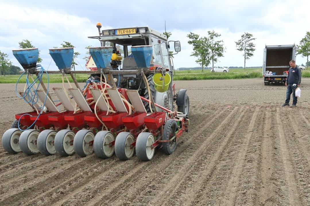 Met het aanleggen van proefvelden zoekt CZAV naar mogelijkheden om de productie van de klassieke bruine boon op te krikken en er wordt onderzocht wat de mogelijkheden zijn van exotische soorten. - Foto's: Anton Dingemanse