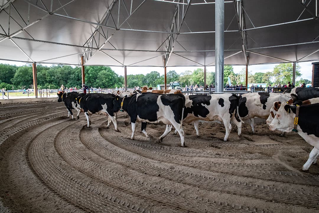 Foto's: Ronald Hissink