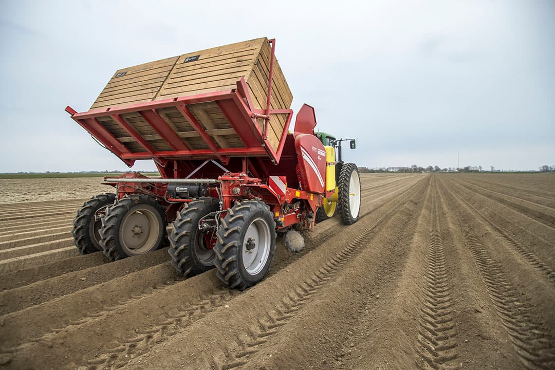 Pootaardappelen worden gepoot. - Foto: Koos Groenewold