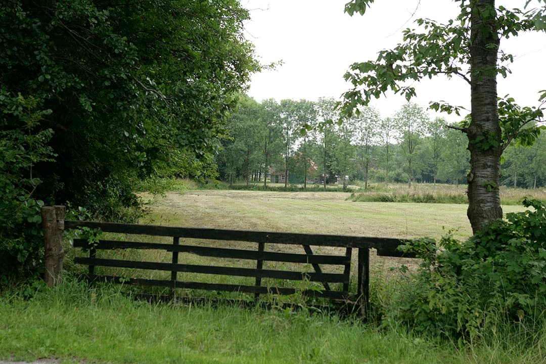 Foto: Jan Willem Schouten
