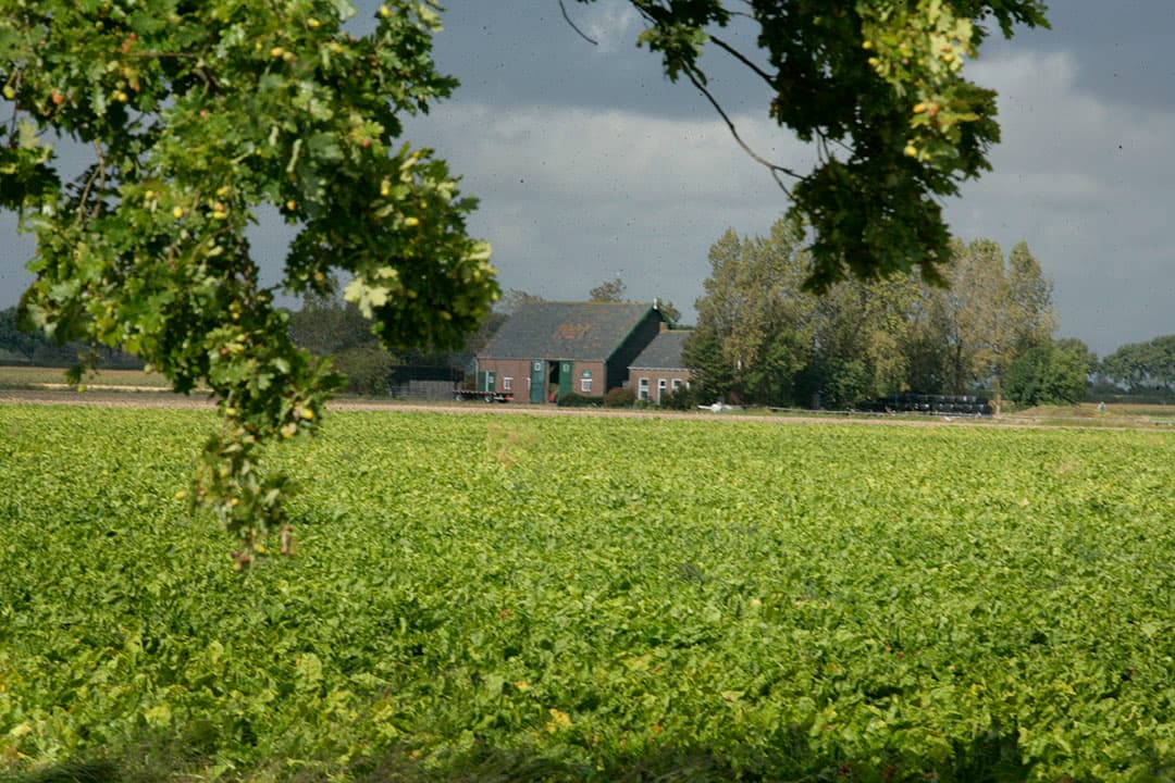 Landbouwgebied in de provincie Zeeland. Provincies hebben te maken met verschillende opgaven, omdat de situatie per provincie verschilt. - Foto: Henk Riswick
