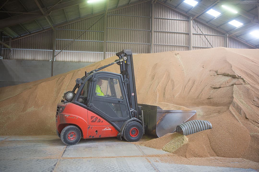 De EU-uitvoer wordt geremd door hoge graanprijzen, waardoor de voorraden toenemen. - Foto: Peter Roek