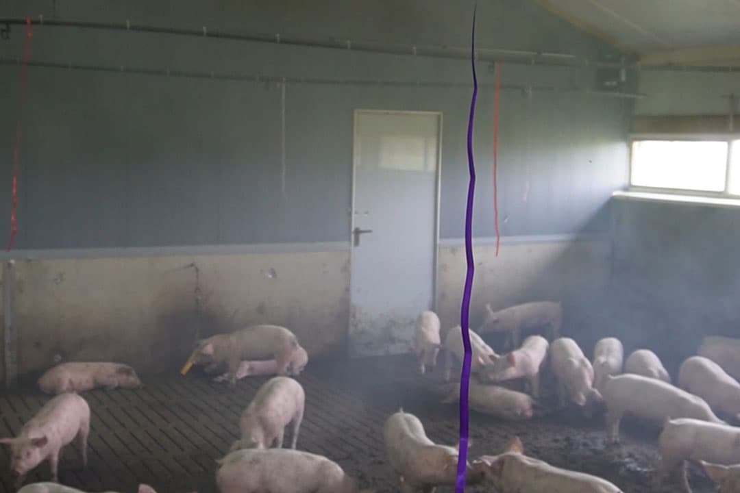 Foto: Boerderij