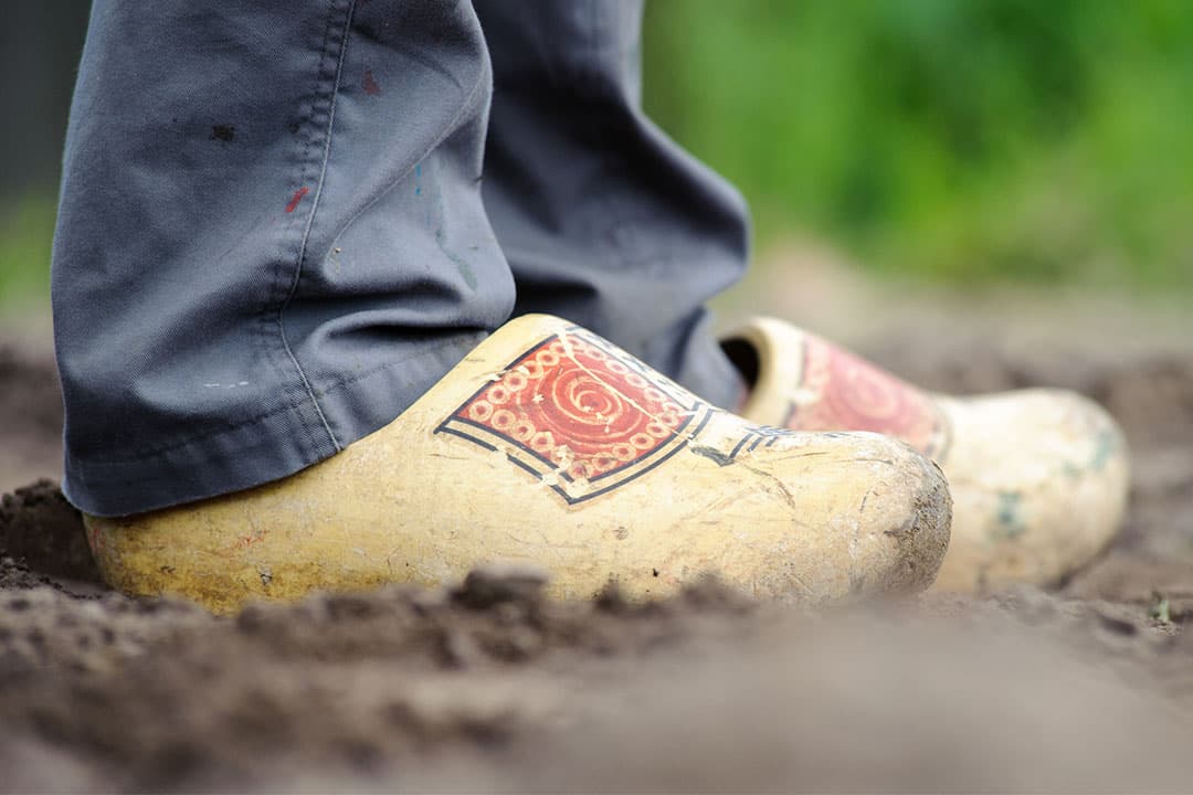 "Mensen die ik soms spreek vinden dat boeren helemaal geen ondernemers zijn", aldus columnist Willem Bruil. - Foto: Canva