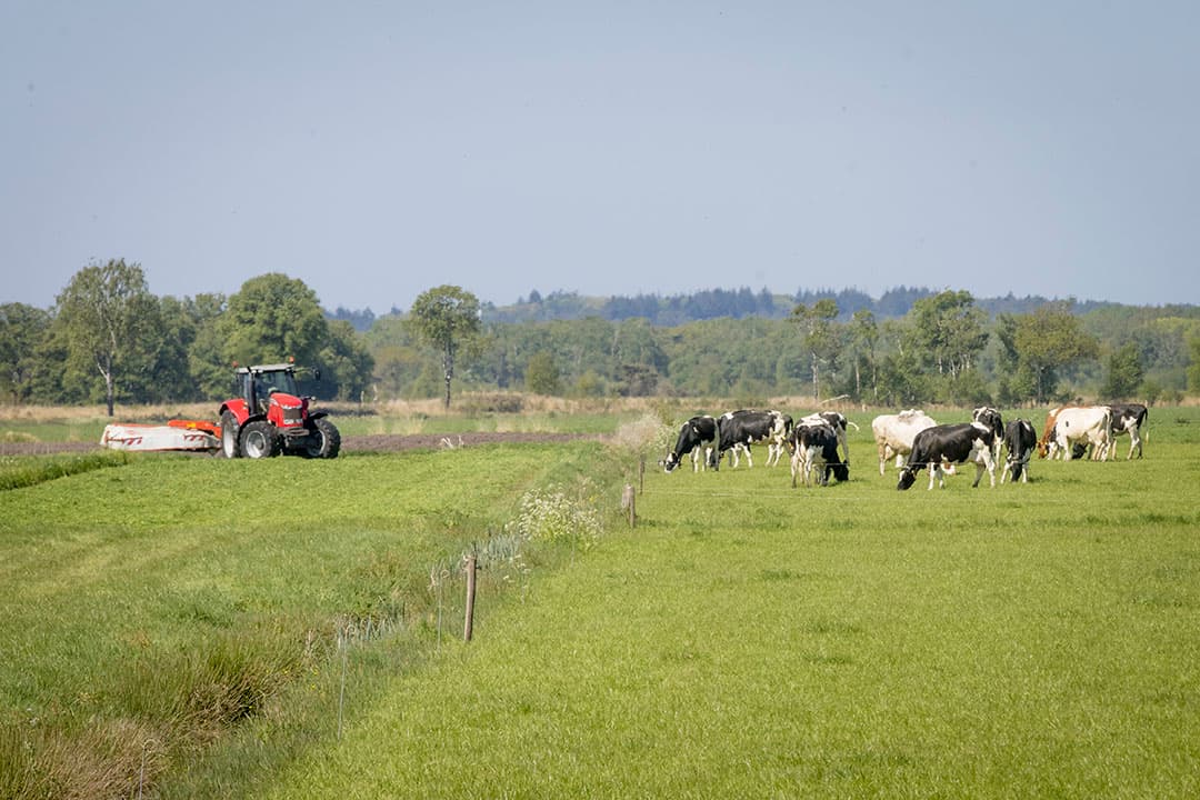 Foto: Koos Groenewold
