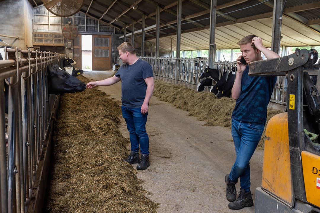 Luuk (l.) en Stijn (r.) Fox. Allebei zitten ze in Dronten op school maar zodra ze thuis zijn, gaan ze op het bedrijf aan de slag. - Foto's: Koos Groenewold