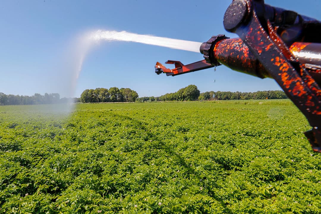 Het beregenen van aardappelen in Noord-Brabant. - Foto: Bert Jansen
