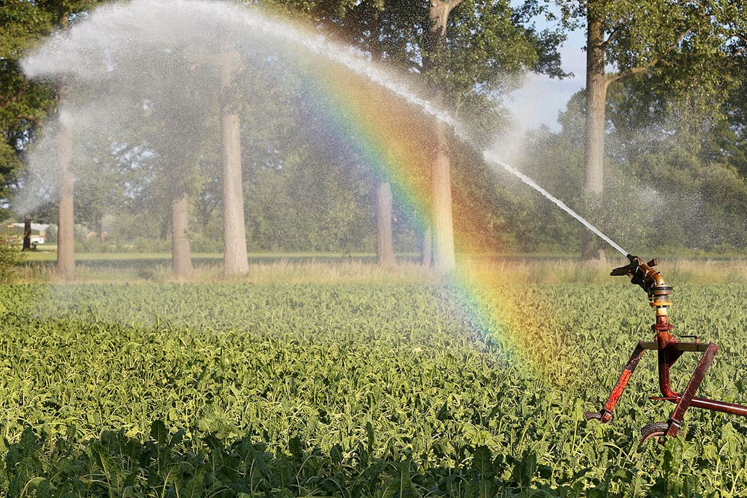 Boeren in de Peelvenen hebben straks niet meer automatisch vrijstelling voor het beregenen van hun akkers, maar moeten een vergunning daarvoor aanvragen. - Foto: Hans Prinsen