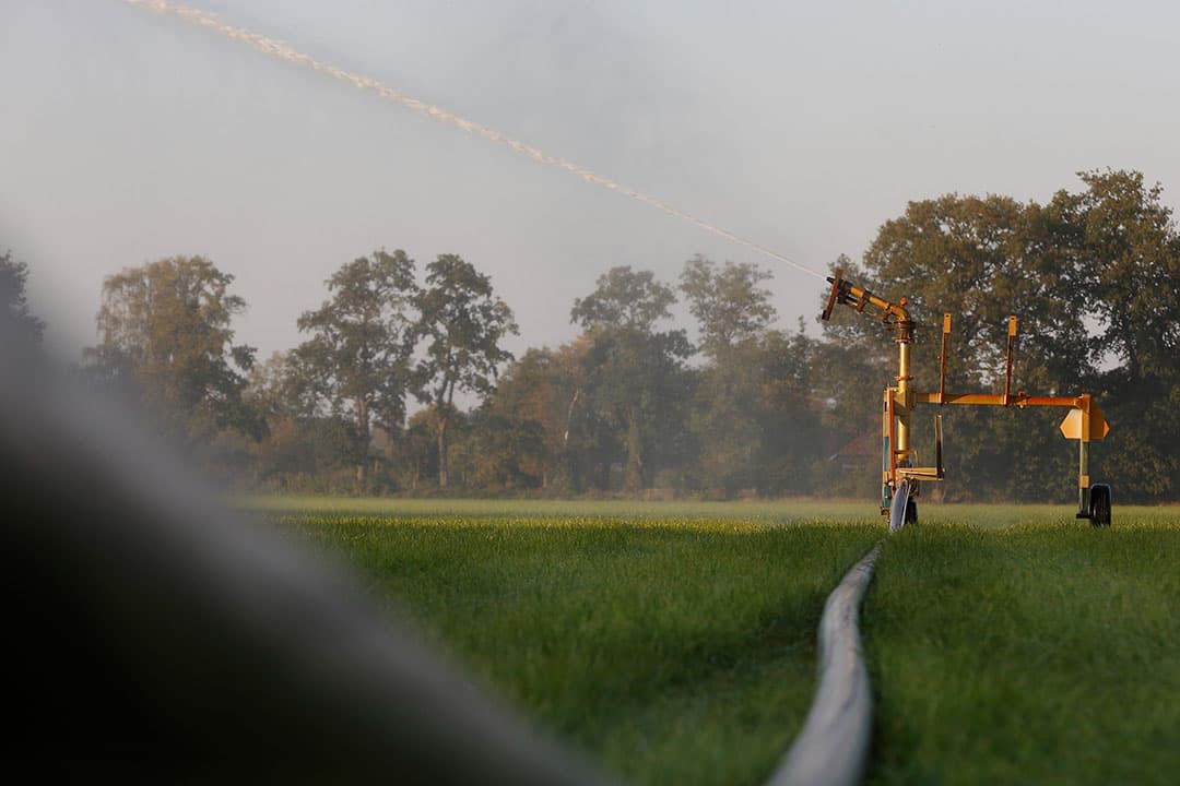 Puur op kosten van beregenen met een dieselmotor kan beregenen niet uit. Maar ook continuïteit van weidegang, benutten van meststoffen en graskwaliteit hebben waarde. - Foto: Hans Prinsen
