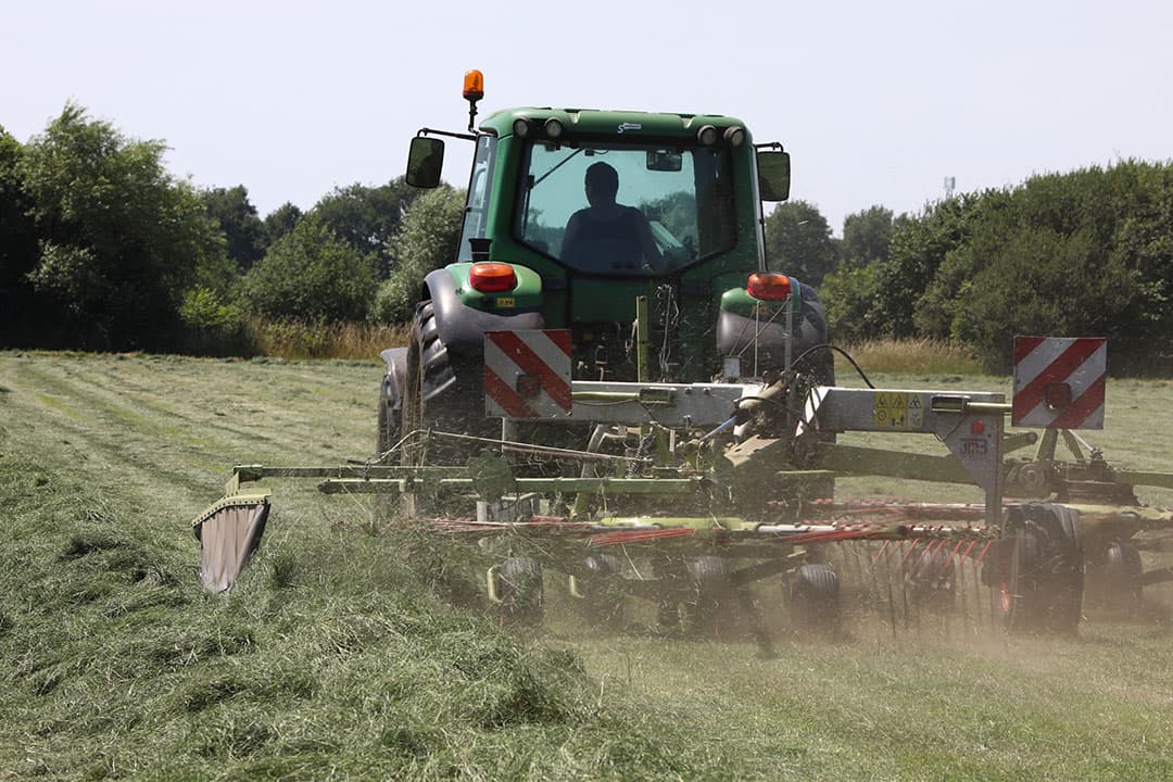 Met het drogestofgehalte van het gras is ook de bestendigheid van het eiwit te beïnvloeden. 20% meer droge stof levert ongeveer 10 gram DVE extra. - Foto: Henk Riswick