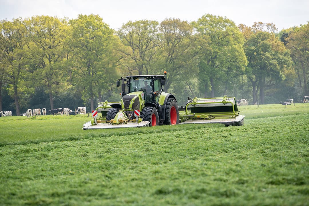 Dit perceel is op 2 mei gemaaid. Eind mei moet er opnieuw gemaaid worden wil de veehouder aarvorming en zo ook voederwaardeverlies voorkomen. - Foto: Michel Velderman