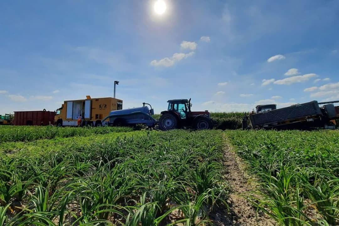Het eerste water is eind april succesvol geïnfiltreerd. - Foto: Zoete Toekomst Texel