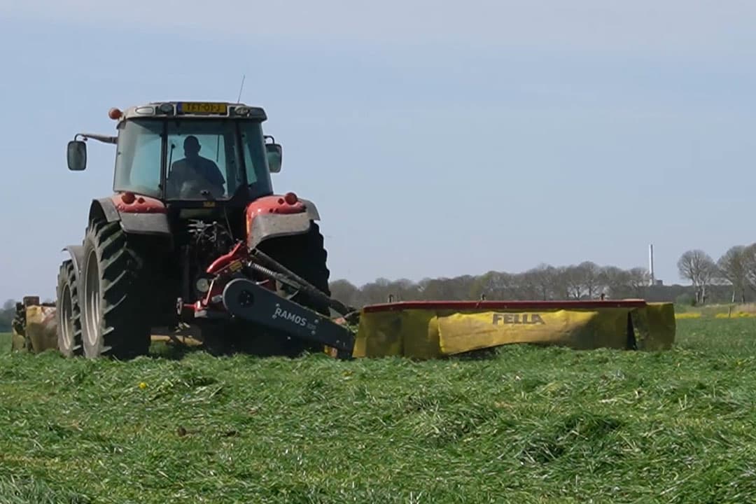De eerste snede gras is gemaaid bij kaasboerderij Torenpolderkaas in Fijnaart. - Foto: Rachel Henst