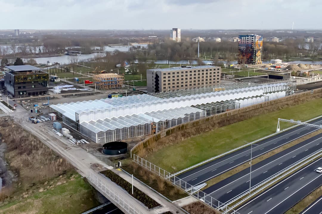 Werkzaamheden aan de grote kas van de Floriade in Almere, begin van dit jaar. - Foto: Ton Kastermans