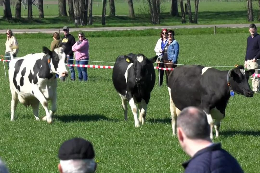 Foto: Koos Groenewold