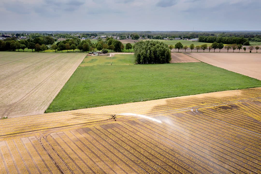Boeren die kunnen en nog mogen beregenen doen dat veelal zoals hier in Brabant. Foto: ANP
