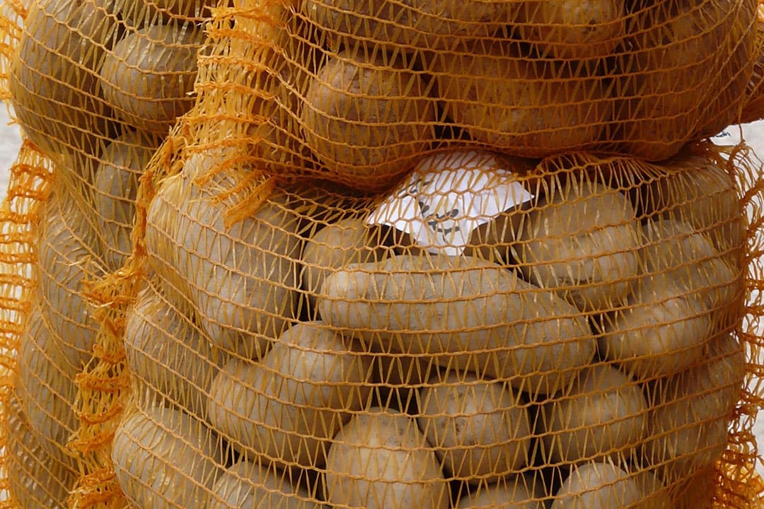 Ook Zwitserland kocht meer Nederlandse consumptie-aardappelen in maart van dit jaar. - Foto: Canva