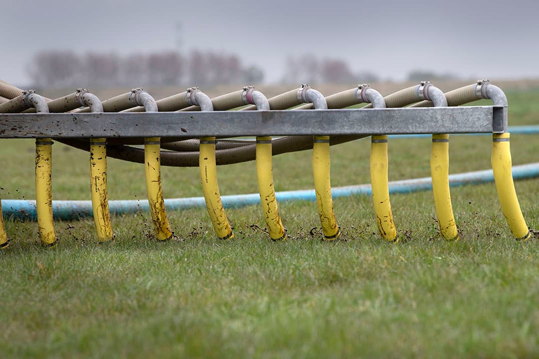 Binnenhalen van de derogatie is “essentieel, onontbeerlijk en randvoorwaardelijk als bouwsteen voor de land- en tuinbouw van de toekomst”, aldus LTO. - Foto: Mark Pasveer