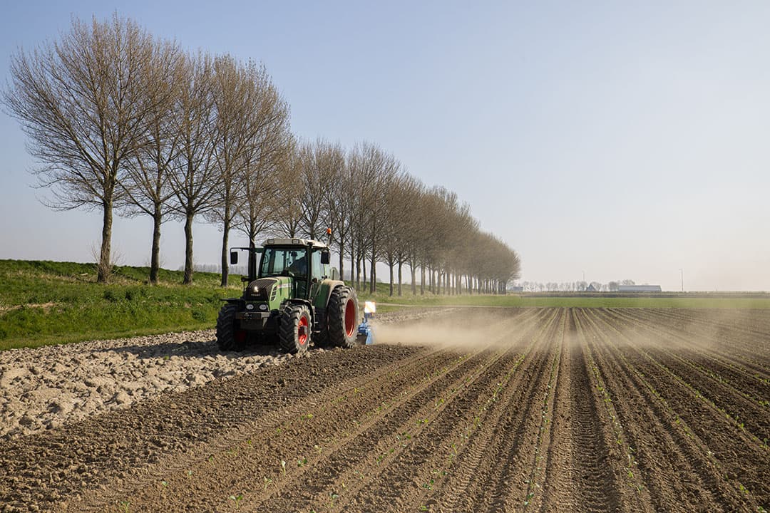 Foto: Peter Roek