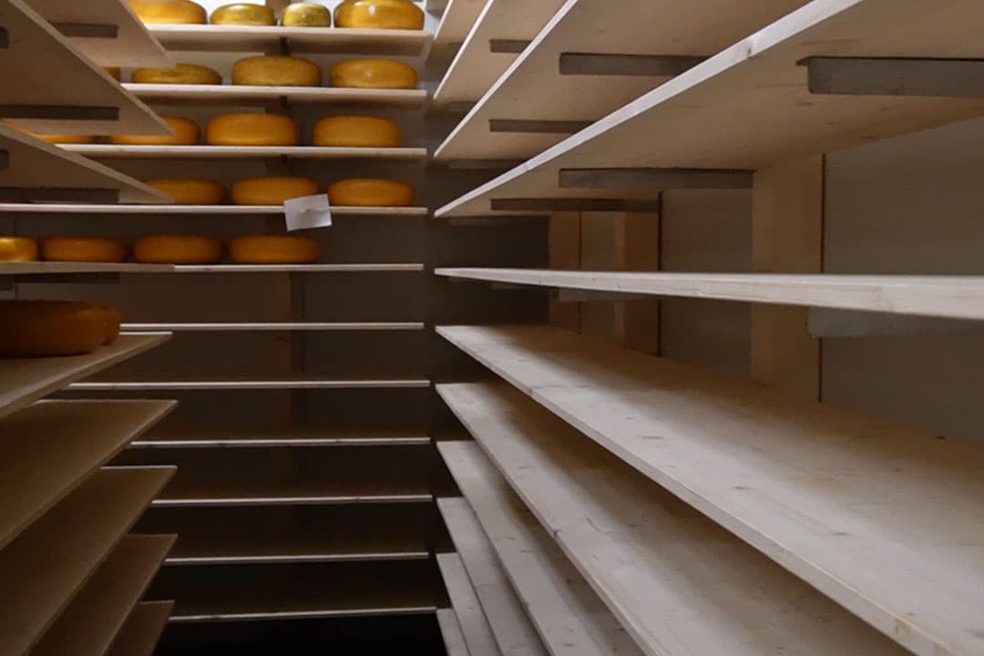 Legen schappen door de inbraak op kaasboerderij Torenpolderkaas. - Foto: Rachel Henst