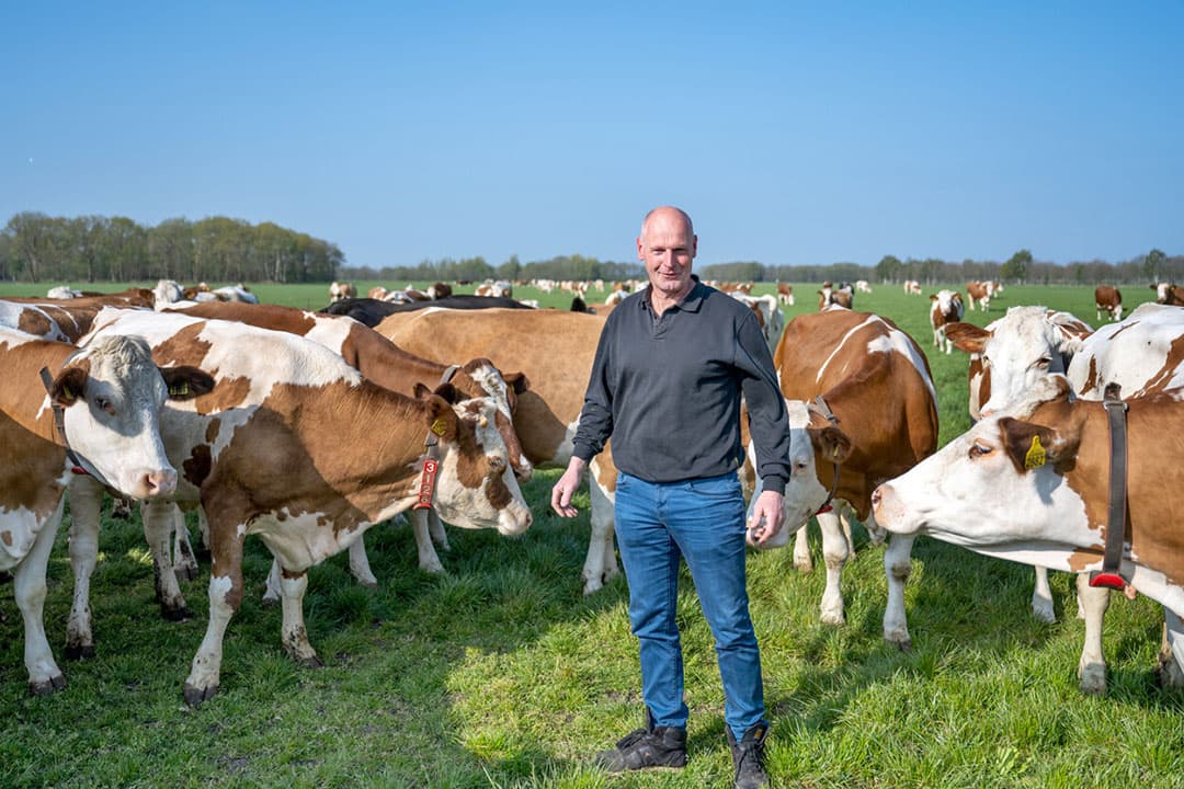Rudi Hooch Antink (56) heeft een melkveebedrijf in Koekange (Dr.). - Foto: Michel Velderman
