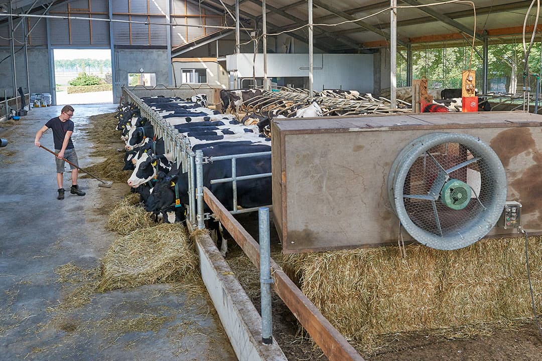 De zomer is altijd een moment waarop de celgetallen oplopen. - Foto: Van Assendelft Fotografie
