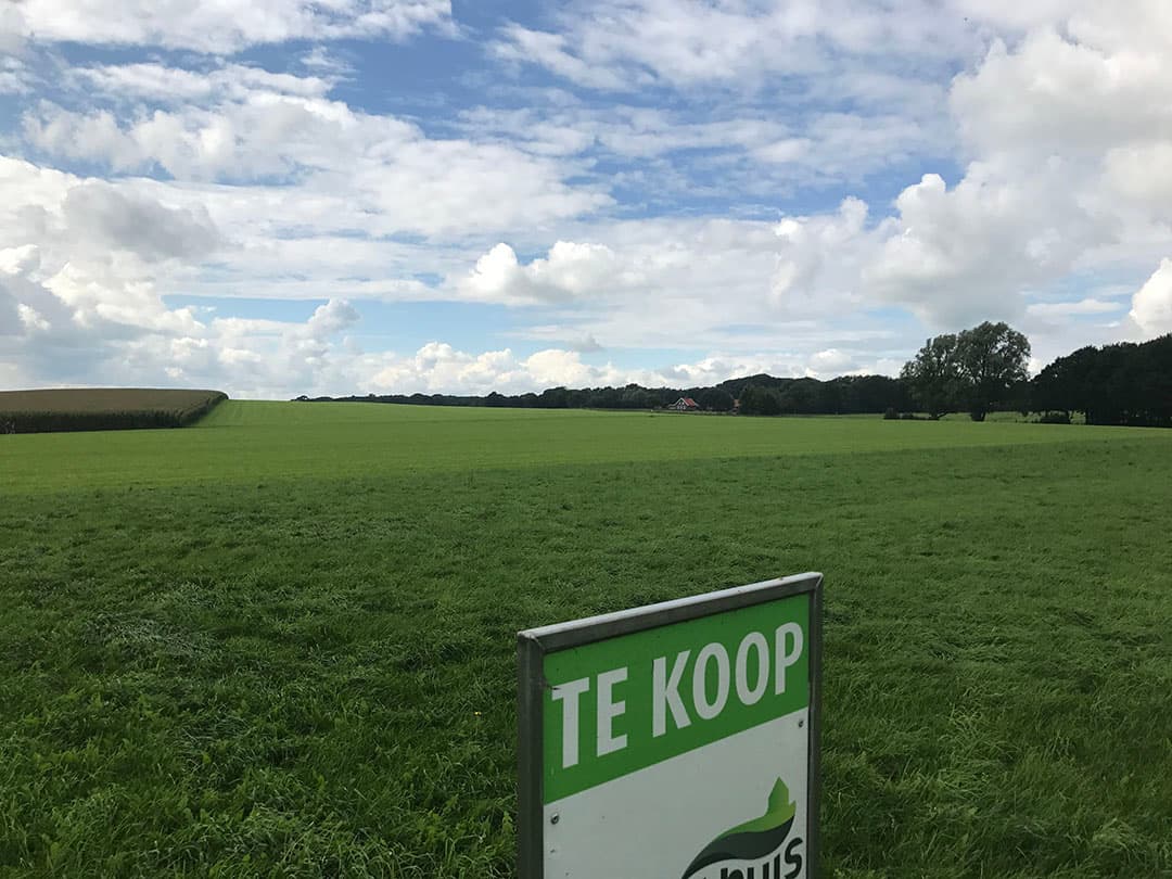 Foto: Martijn ter Horst