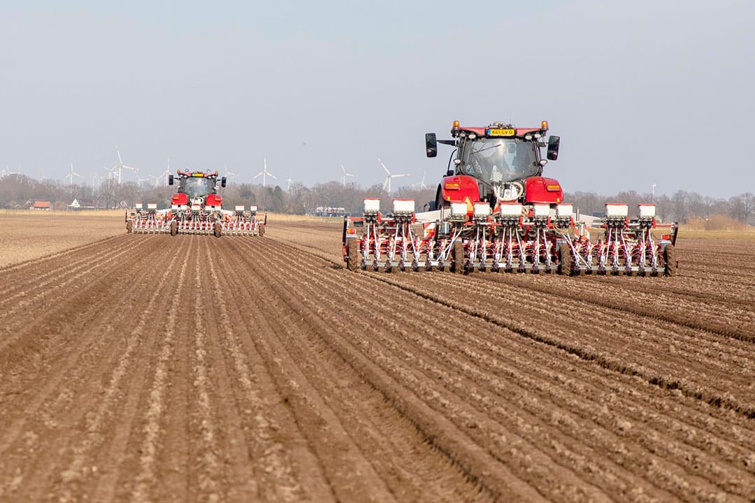 Foto: Koos van der Spek