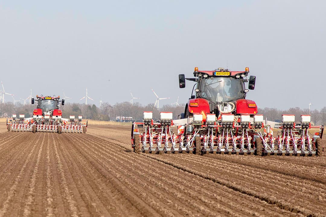 Waar de accountmanagers van De Groot en Slot een areaalafname van 6 à 7 % verwachten, schat André Boot van Hazera dat er dit jaar 12 tot 15% minder hectares worden gebruikt voor uien. - Foto: Koos van der Spek