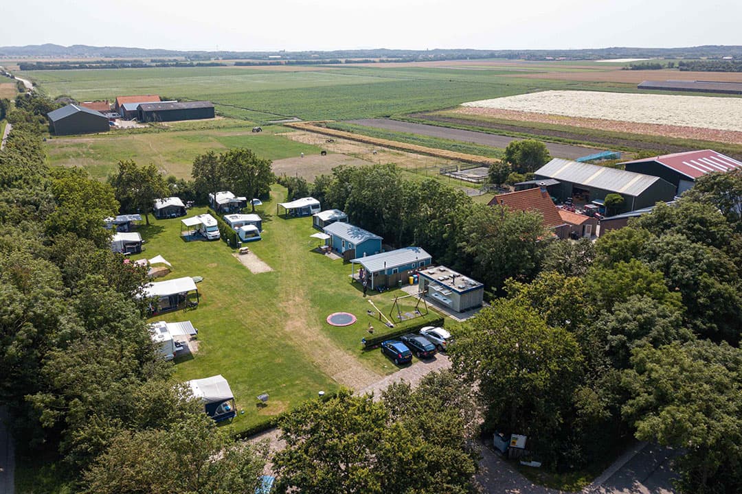 Multifunctionele landbouw zoals een boerencamping is allang geen bijzaak meer, volgens LTO. - Foto: Peter Roek