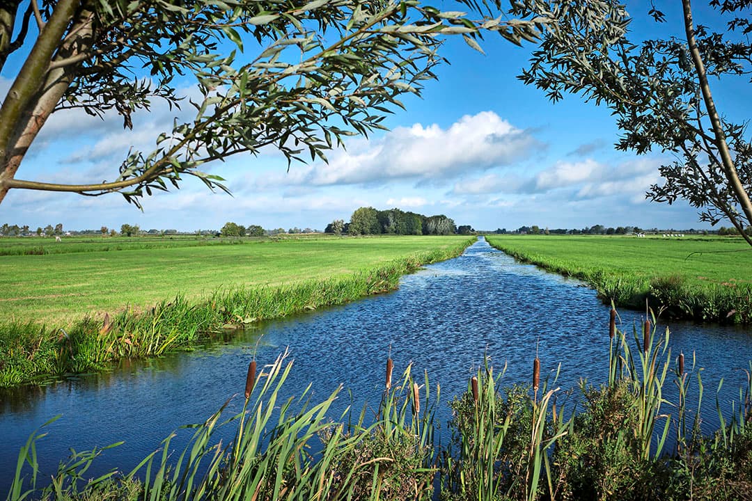 De veenweidegebieden zijn typisch voor Zuid-Holland, Noord-Holland en Utrecht. De beperkte gebruiksmogelijkheden maken dat vooral veehouders grond kopen. - Foto: Fred Libochant