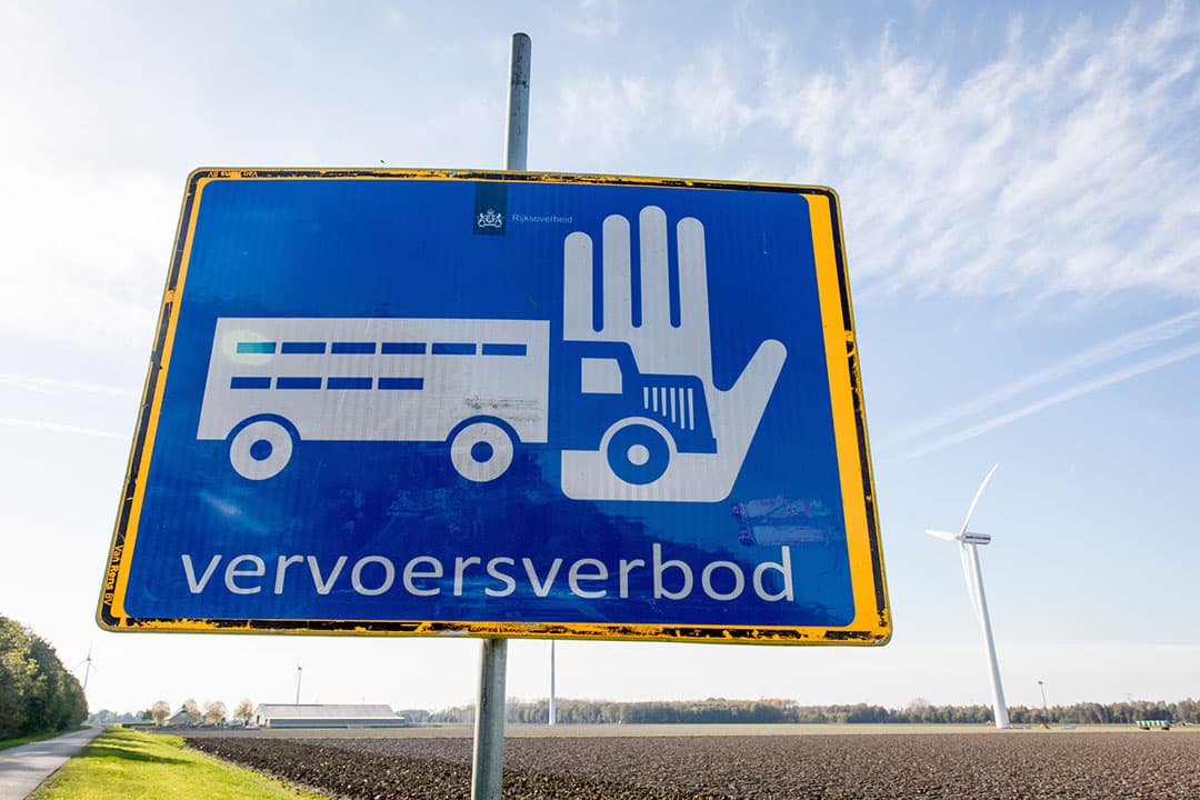 Foto: Koos Groenewold