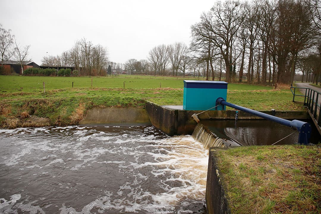 Foto: Hans Prinsen