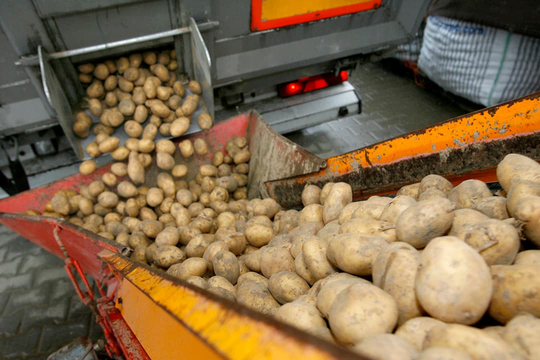 Foto: Peter Roek