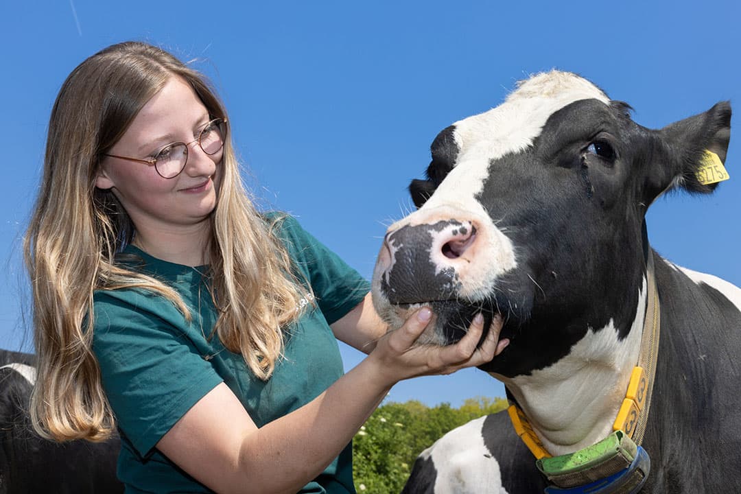 Kate-Lynn Oerlemans (20) woont in Halsteren (N.-Br.) en heeft in maatschap met haar ouders en een collega-boer 85 melkkoeien op 70 hectare waarvan 15 hectare natuur. Verder is er een zorgtak en een boerderijwinkel. - Foto's: Peter Roek