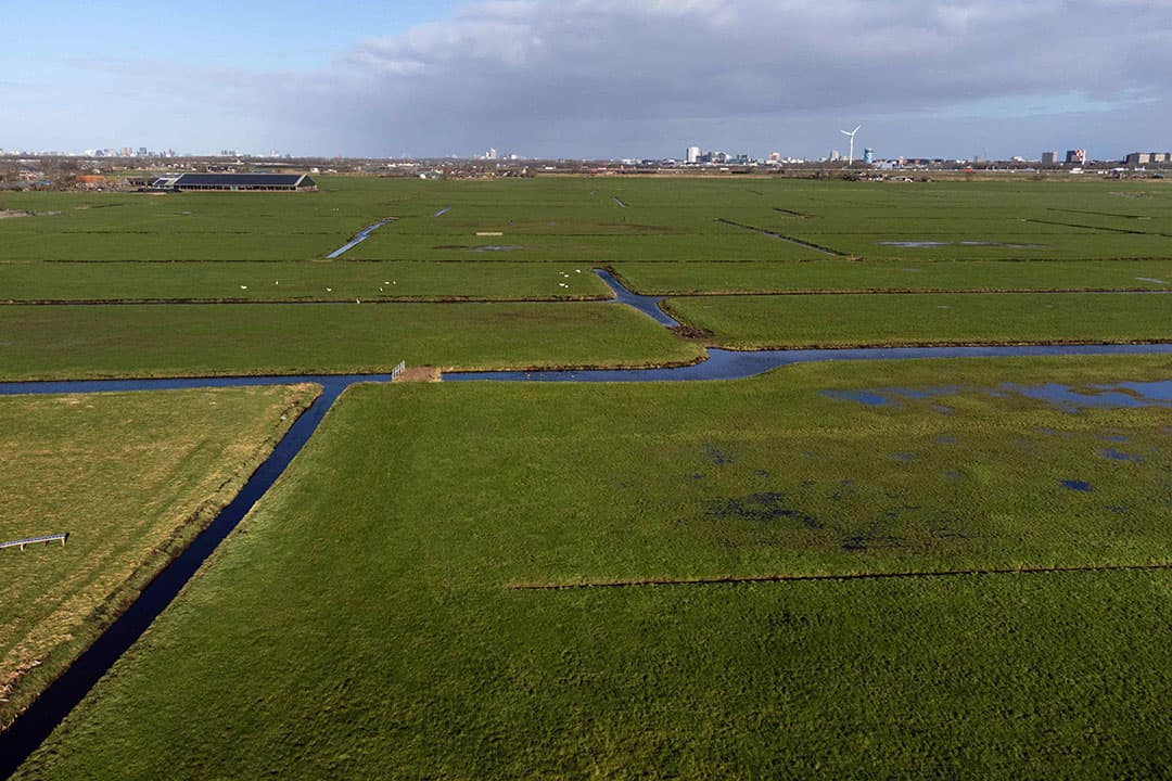 Verplichte afrastering langs sloten, een van de voorwaarden in de concept-derogatie voor Ierland, is in Nederland niet haalbaar. - Foto: Herbert Wiggerman