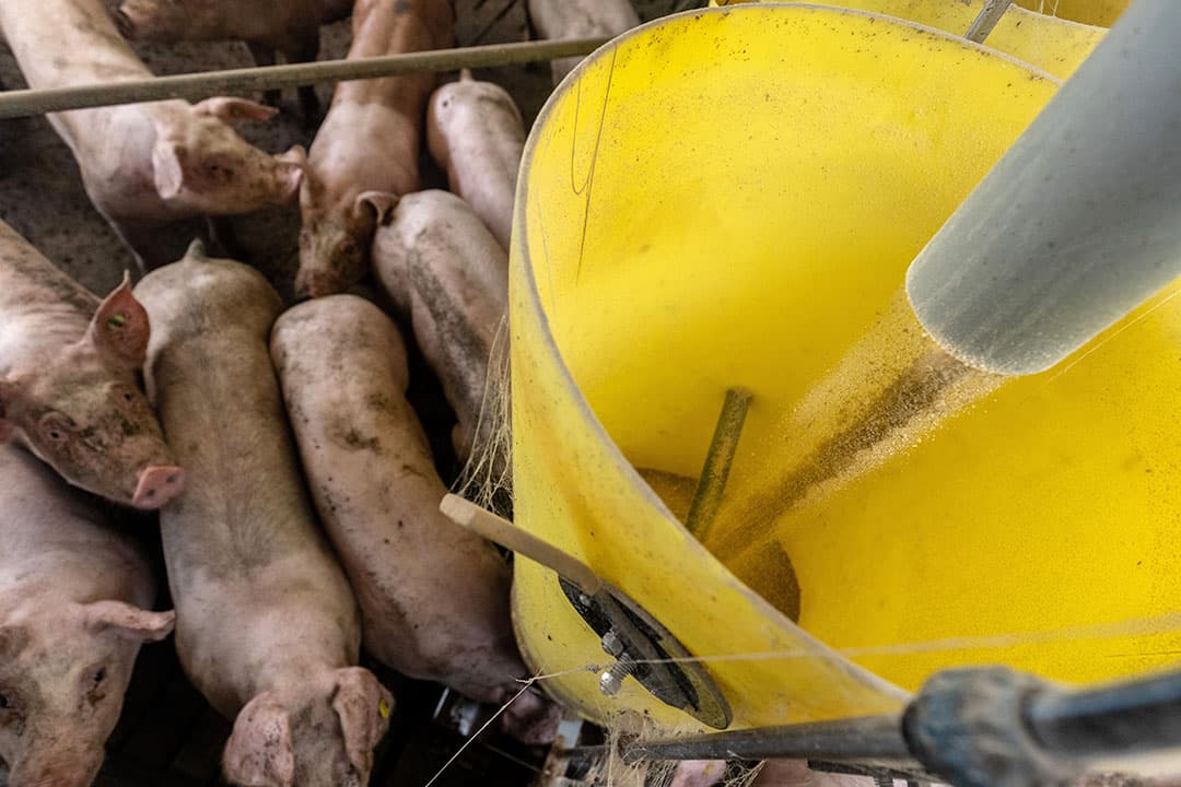 Naast silo's hebben ook kunststof voerbakken een lange levensduur. Droogvoerbakken zijn daarom een gewild onderdeel op de tweedehands markt. - Foto: Herbert Wiggerman