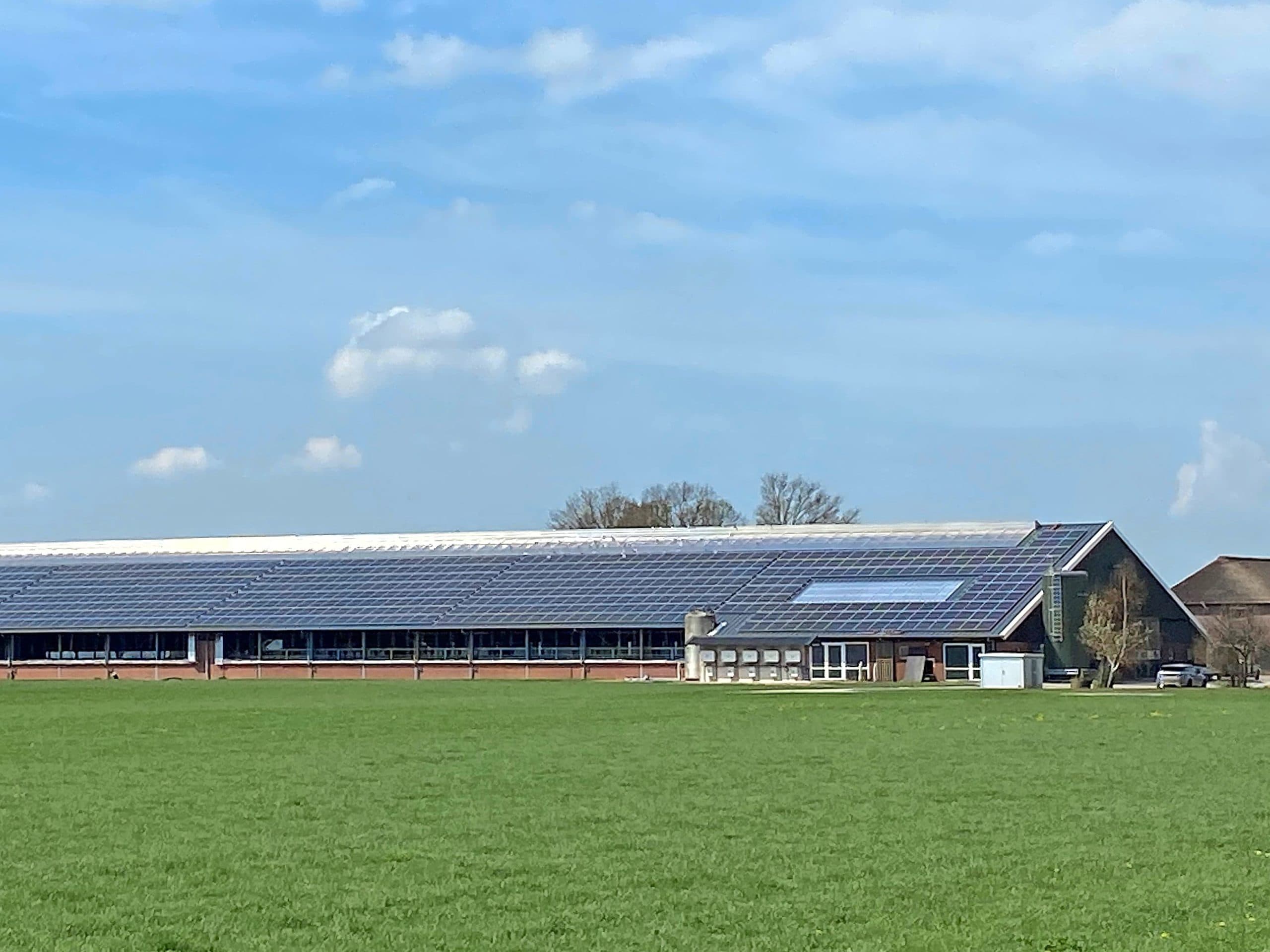 Vreba Melkvee weg uit Laag-Keppel