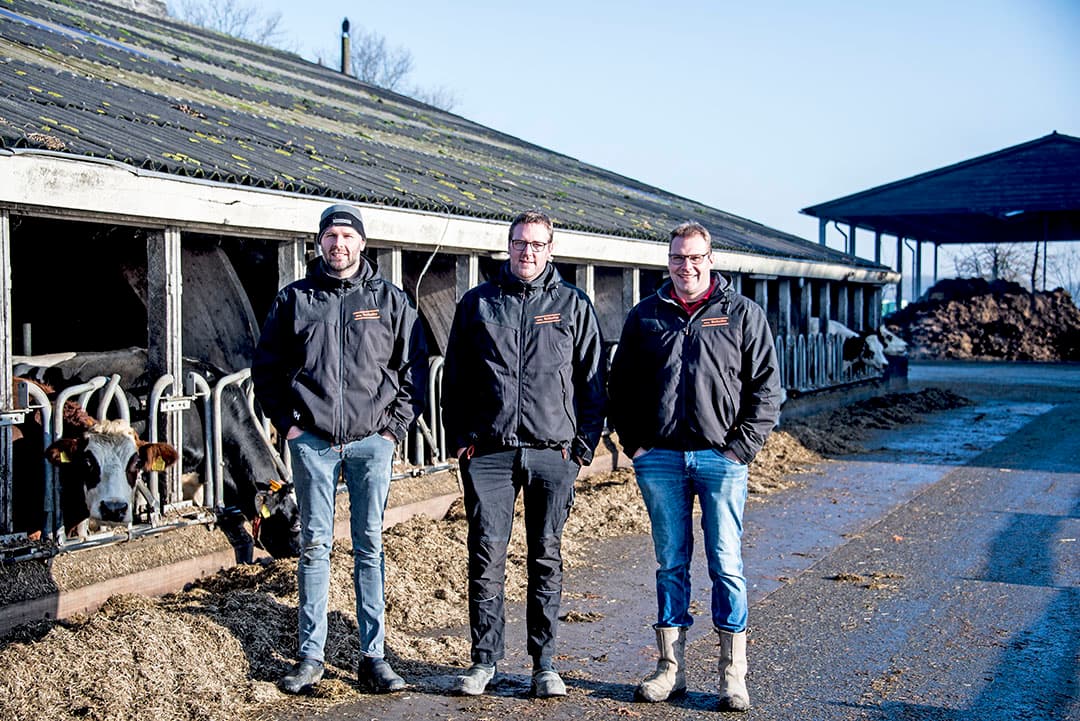 De broers Niels (36), Randolf (37)  en Werner (39) Schulte hebben samen een gemengd bedrijf met akkerbouw en melkvee.