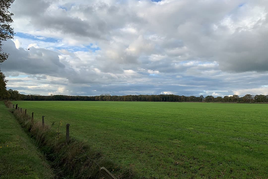 Foto: Boerderij