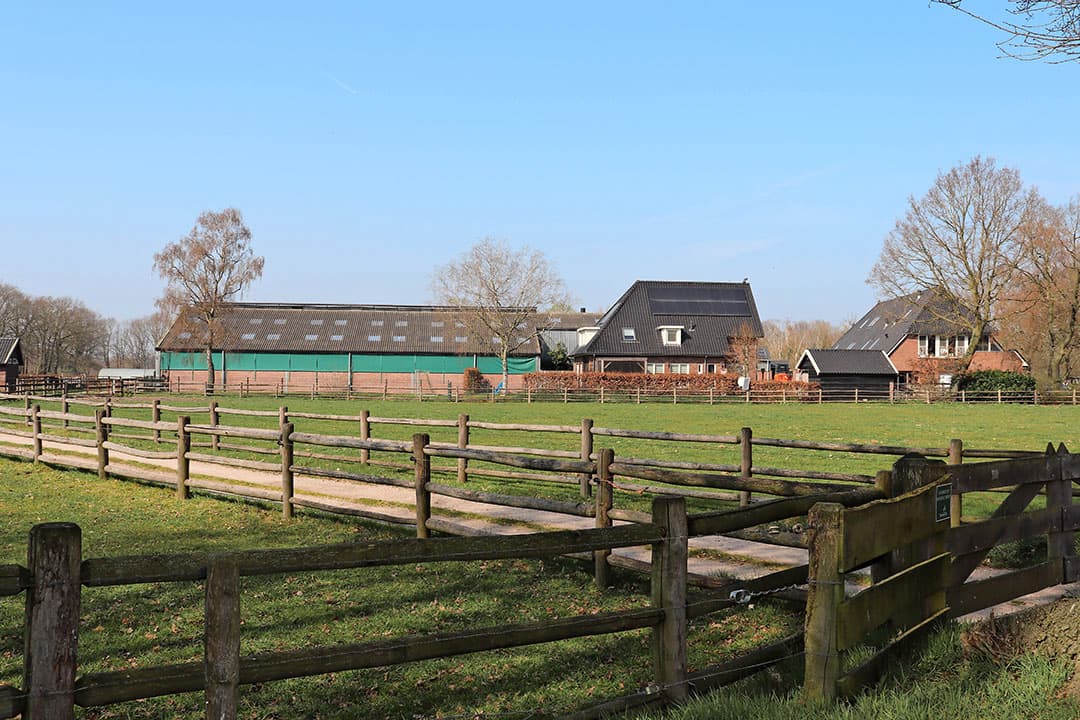 Het biologisch vleesveebedrijf met recreatietak. - Foto's: René Stevens