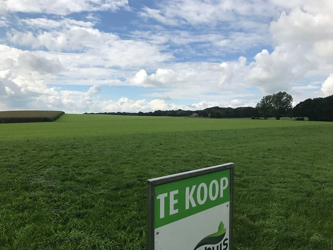 Foto: Martijn ter Horst