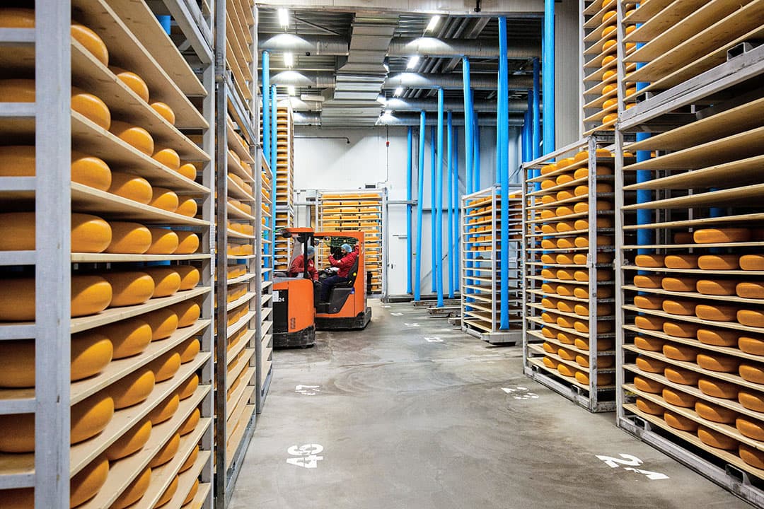 In totaal voerde Nederland bijna 950.000 ton kaas uit in 2021. - Foto: Herbert Wiggerman